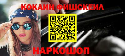 крисы Моздок