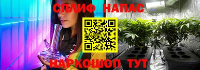 крисы Моздок
