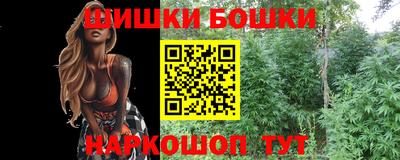 крисы Моздок