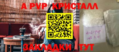 крисы Моздок
