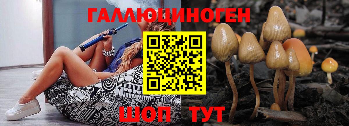 Урай  Галлюциногенные грибы Psilocybe  Вход с VPN  купить наркотики цена  Галлюциногенные грибы GOLDEN TEACHER 