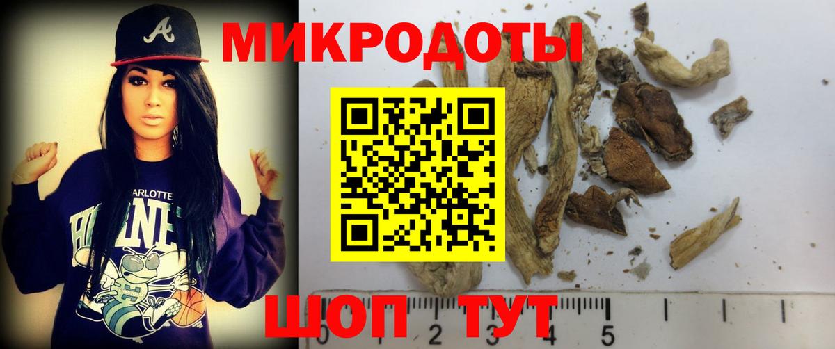 Псилоцибиновые грибы Cubensis Урай